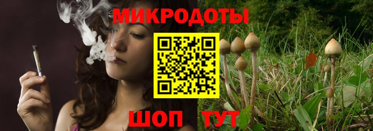 Рославль  Псилоцибиновые грибы Cubensis  Вход с VPN 